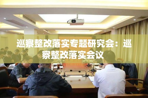巡察整改落实专题研究会：巡察整改落实会议 