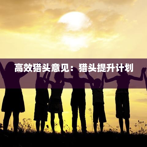 高效猎头意见：猎头提升计划 