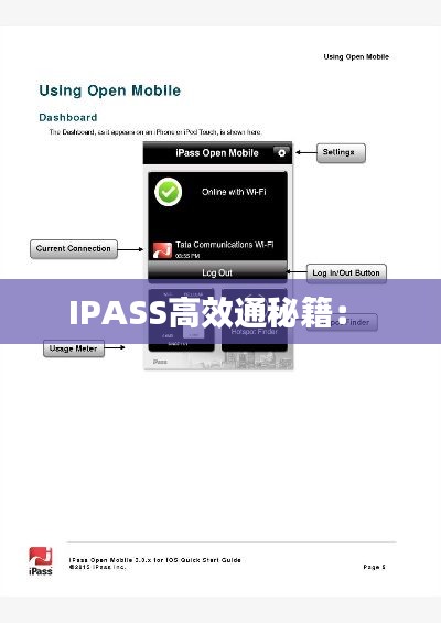 IPASS高效通秘籍： 