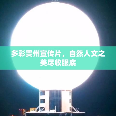 纡尊降贵 第3页