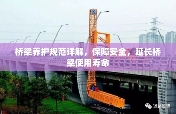欣喜若狂 第3页