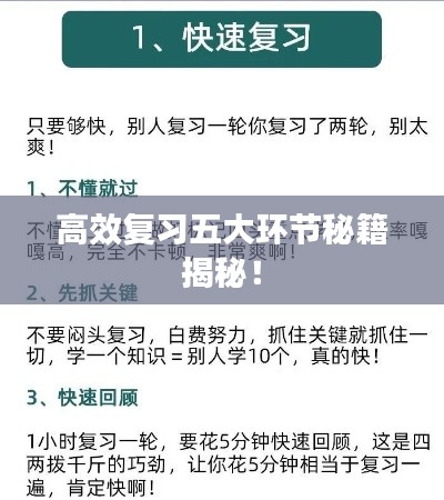 高效复习五大环节秘籍揭秘！