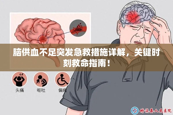 脑供血不足突发急救措施详解，关键时刻救命指南！