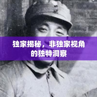 独家揭秘，非独家视角的独特洞察