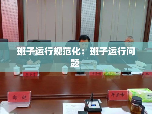 班子运行规范化：班子运行问题 