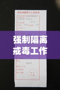 强制隔离戒毒工作规范详解，专业操作与制度保障