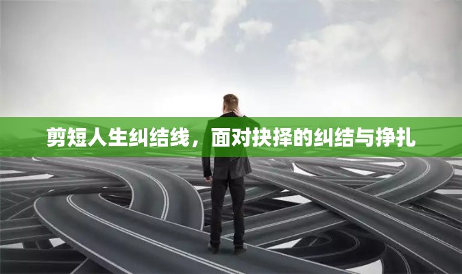 一丝不苟 第3页