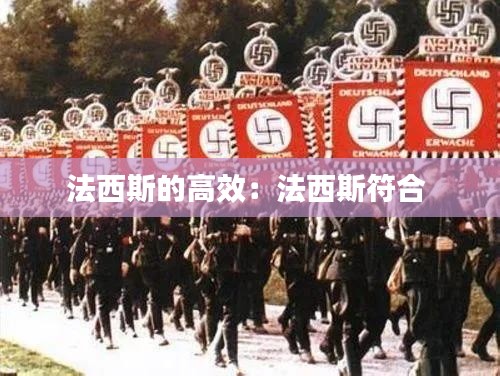 法西斯的高效：法西斯符合 