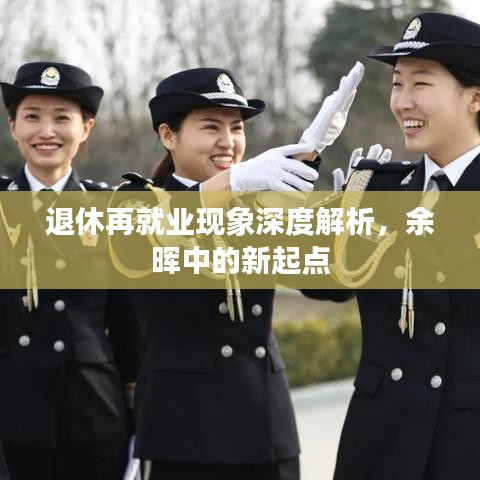 退休再就业现象深度解析，余晖中的新起点