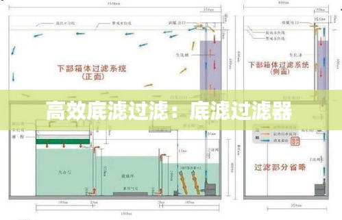 高效底滤过滤：底滤过滤器 