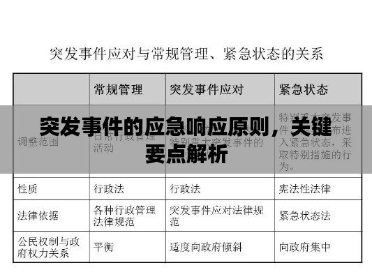 突发事件的应急响应原则，关键要点解析