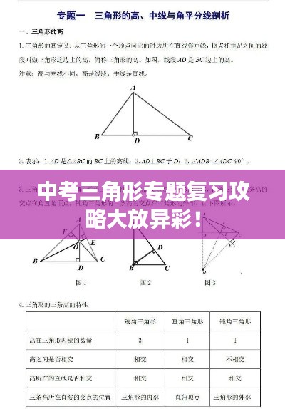 中考三角形专题复习攻略大放异彩！
