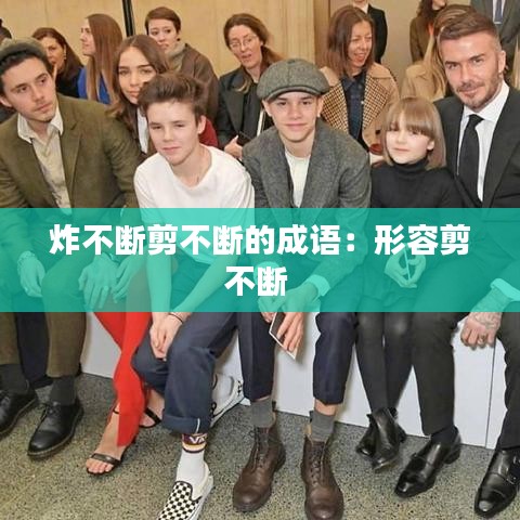 炸不断剪不断的成语：形容剪不断 