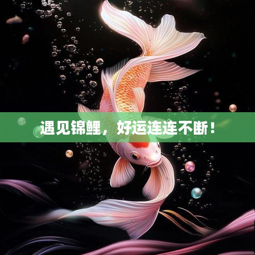 鸟声兽心 第3页