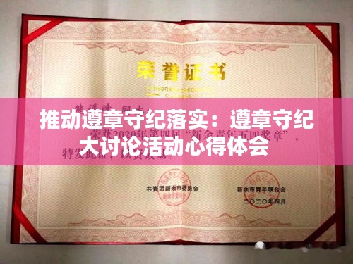 推动遵章守纪落实：遵章守纪大讨论活动心得体会 