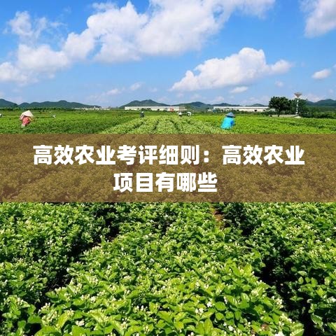 高效农业考评细则：高效农业项目有哪些 