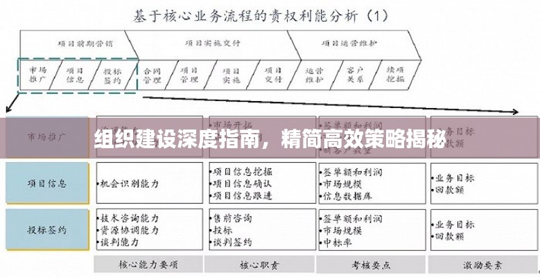 组织建设深度指南，精简高效策略揭秘