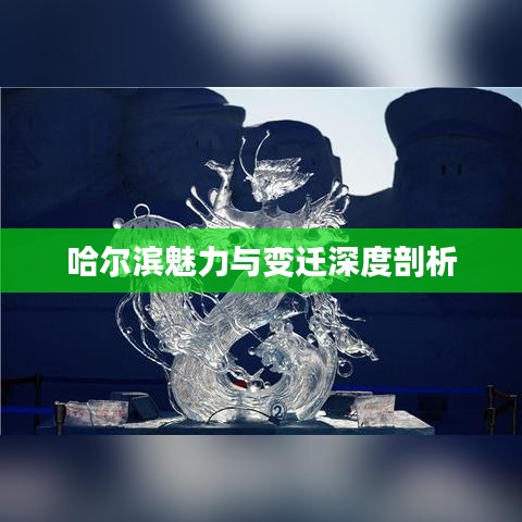 哈尔滨魅力与变迁深度剖析