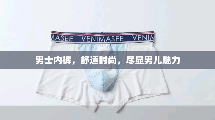 翰飞戾天 第3页