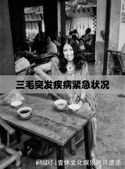 三毛突发疾病紧急状况