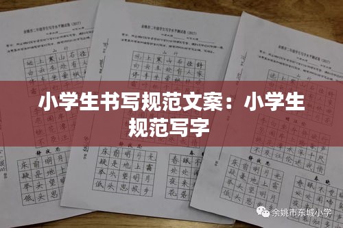 小学生书写规范文案：小学生规范写字 