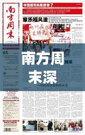 披肝沥胆 第3页