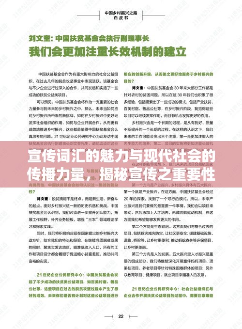 宣传词汇的魅力与现代社会的传播力量，揭秘宣传之重要性