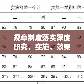规章制度落实深度研究，实施、效果与改进策略