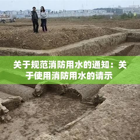 关于规范消防用水的通知：关于使用消防用水的请示 