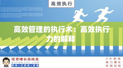 高效管理的执行术：高效执行力的解释 