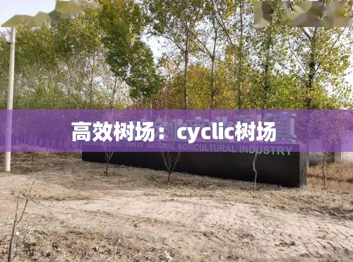 高效树场：cyclic树场 