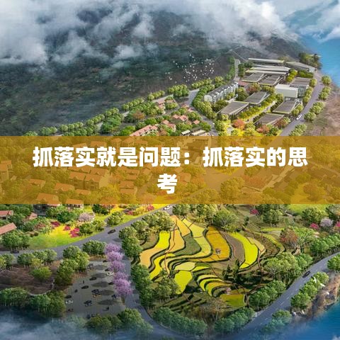抓落实就是问题：抓落实的思考 