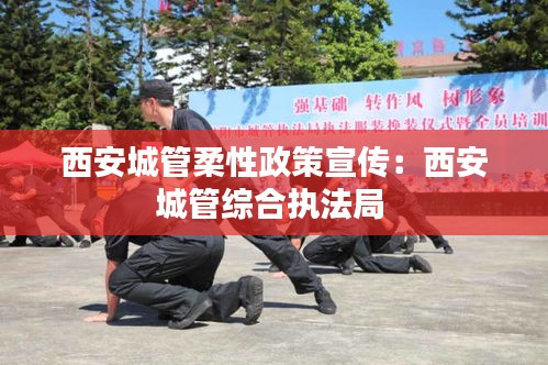 西安城管柔性政策宣传：西安城管综合执法局 