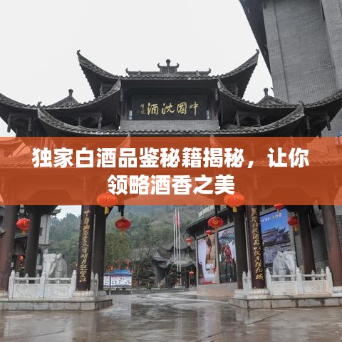 独家白酒品鉴秘籍揭秘，让你领略酒香之美