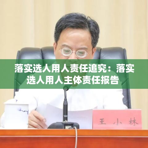 落实选人用人责任追究：落实选人用人主体责任报告 