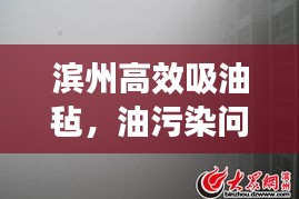 滨州高效吸油毡，油污染问题的理想解决方案