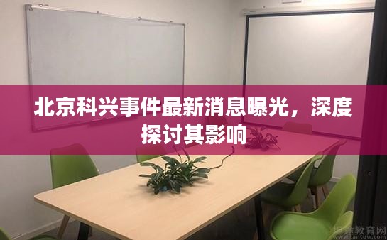 北京科兴事件最新消息曝光，深度探讨其影响