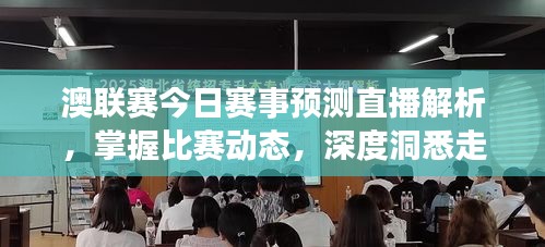 澳联赛今日赛事预测直播解析，掌握比赛动态，深度洞悉走向