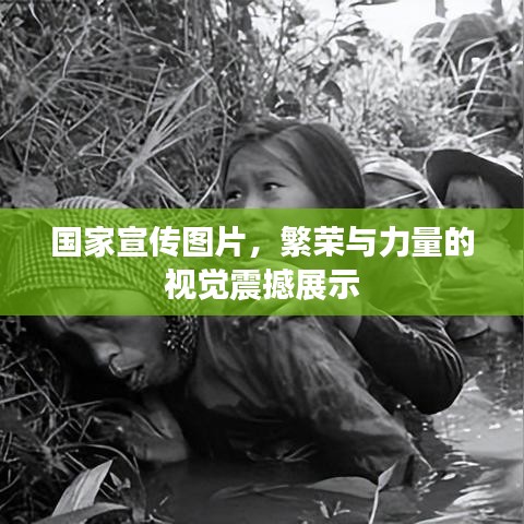 寥若晨星 第4页