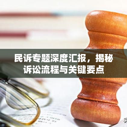 民诉专题深度汇报，揭秘诉讼流程与关键要点