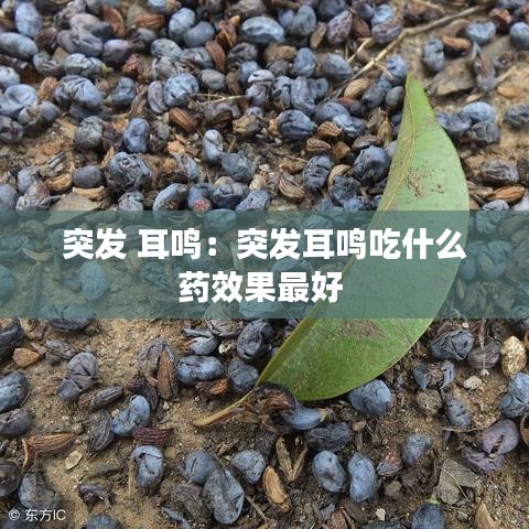 突发 耳鸣：突发耳鸣吃什么药效果最好 