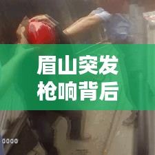 眉山突发枪响背后的真相揭秘