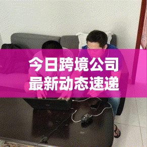 今日跨境公司最新动态速递