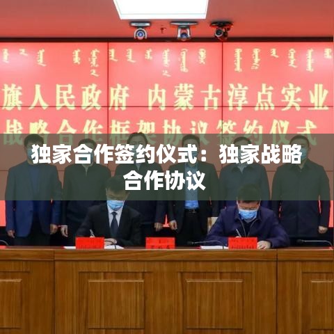 独家合作签约仪式：独家战略合作协议 