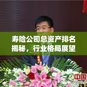 寿险公司总资产排名揭秘，行业格局展望与未来趋势探究