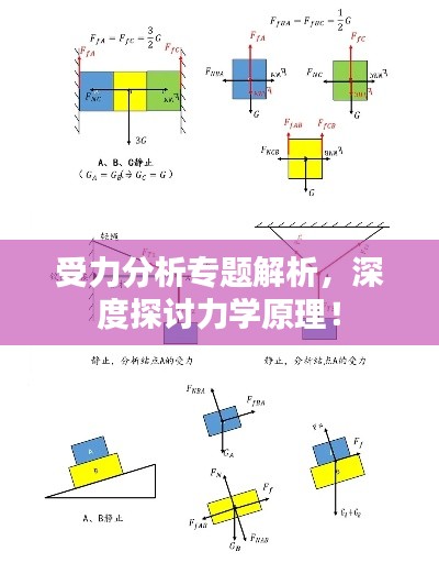 受力分析专题解析，深度探讨力学原理！