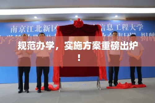 规范办学，实施方案重磅出炉！