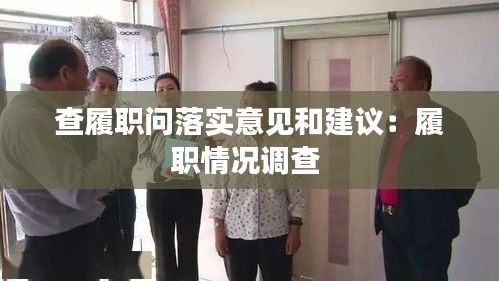 查履职问落实意见和建议：履职情况调查 