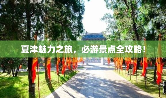 夏津魅力之旅，必游景点全攻略！