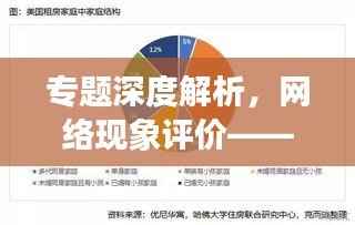 专题深度解析，网络现象评价——客观探讨与多维视角